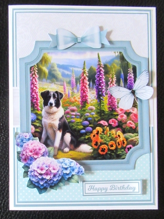 COTTAGE GARDEN DOGS by Davina Rundle