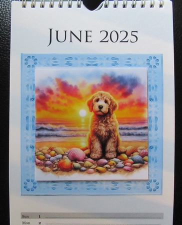 Sunrise Beach Pups 10 by Davina Rundle