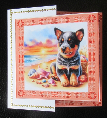 Sunrise Beach Pups 12 by Davina Rundle