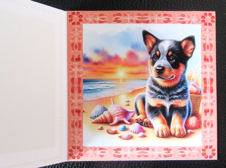 Sunrise Beach Pups 12 by Davina Rundle
