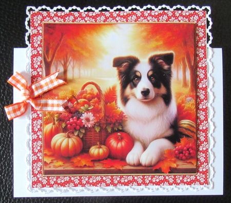 Fall Park Dogs 3 by Davina Rundle