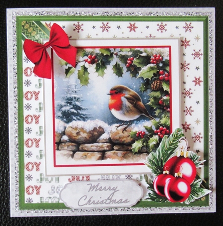 A Robin Visits by Davina Rundle