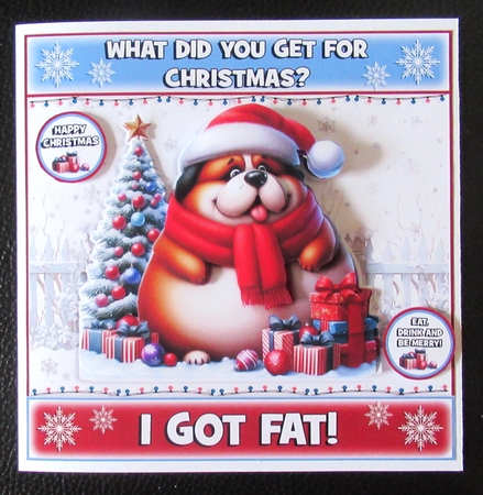 What Did You Get For Christmas? by Davina Rundle