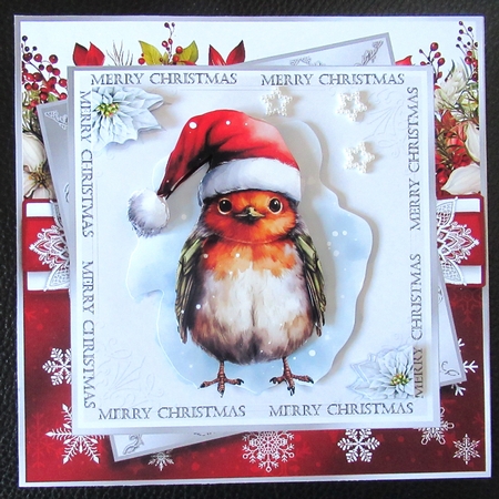 The Little Christmas Robin by Davina Rundle