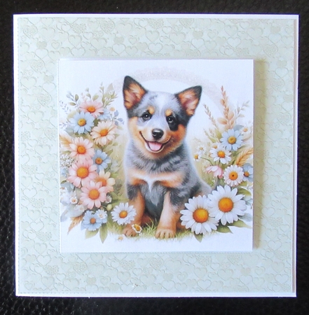 Many Heart Frames-Candy Floss by Davina Rundle