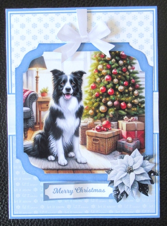 CHRISTMAS BORDER COLLIES by Davina Rundle