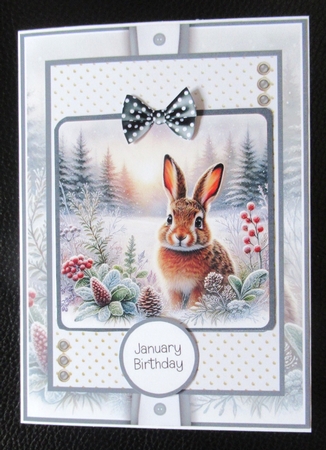 Winter Woodland Wildlife by Davina Rundle