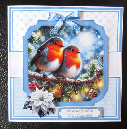 CHRISTMAS EVE BIRDS by Davina Rundle