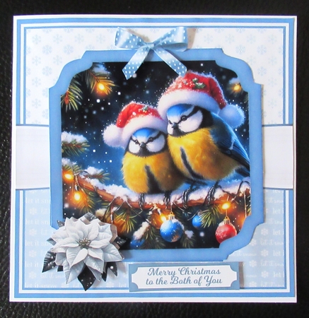 CHRISTMAS EVE BIRDS by Davina Rundle