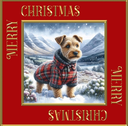 Highland Winter Walk Dogs 3 by Davina Rundle
