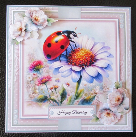 The Ladybird Mini Page Kit by Davina Rundle