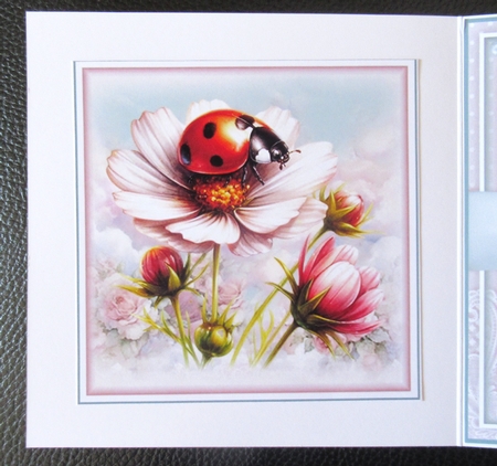 The Ladybird Mini Page Kit by Davina Rundle