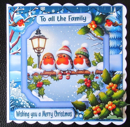 Cute Christmas Robins by Davina Rundle
