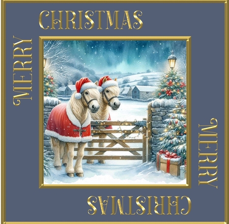 Christmas Horse Gate  by Davina Rundle
