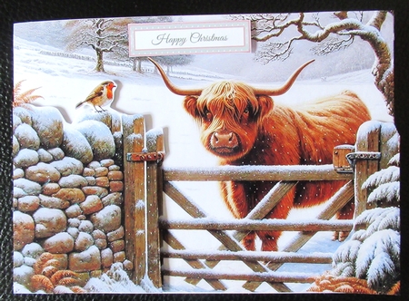 Highland Cow and Robin by Davina Rundle