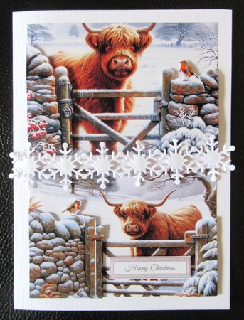 Highland Cow and Robin by Davina Rundle