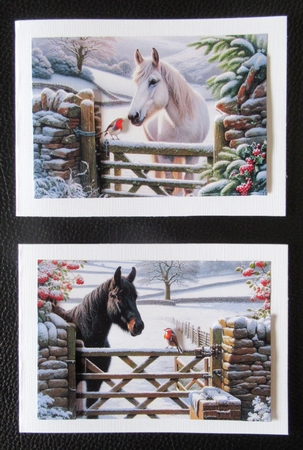 Horse and Robin Winter Scene by Davina Rundle