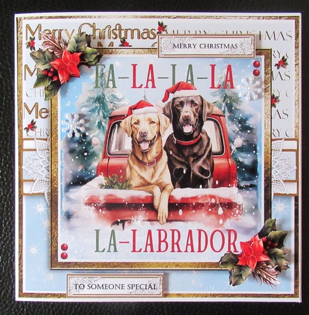 Christmas Is For Dogs by Davina Rundle