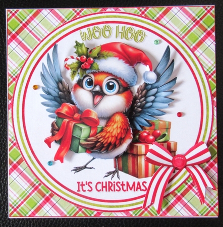6x6 Christmas birds of joy choice of four mini kit by Davina Rundle