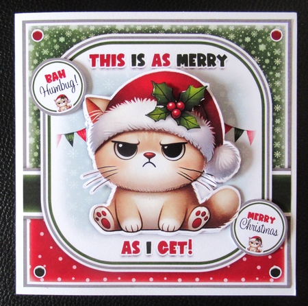 Merry Christmas Cat Mini Kit by Davina Rundle