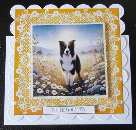 Summer Meadow Dogs 3 by Davina Rundle