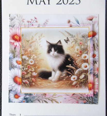 Summer Meadow Cats by Davina Rundle