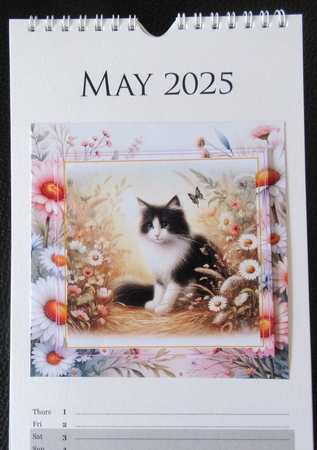 Summer Meadow Cats by Davina Rundle