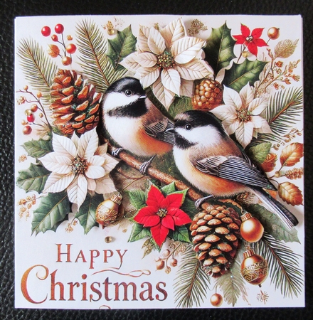 Christmas Birds by Davina Rundle