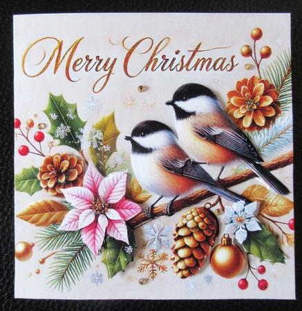 Christmas Birds by Davina Rundle