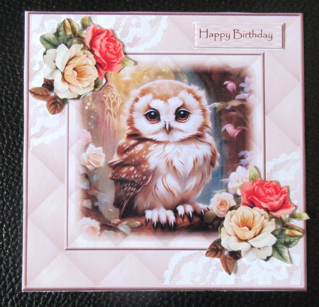 Gorgeous Baby Owl Mini Kit by Davina Rundle