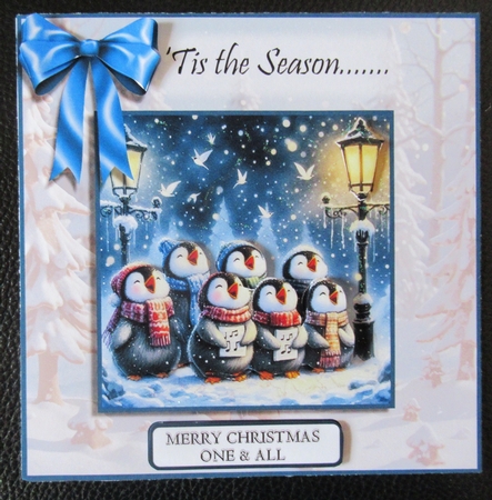 The Penguin Choir by Davina Rundle