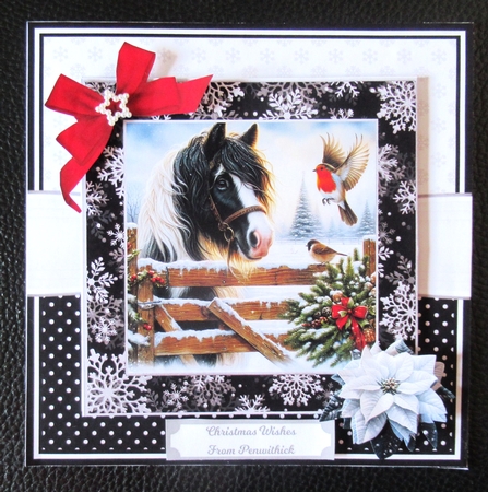 CHRISTMAS GYPSY VANNER by Davina Rundle
