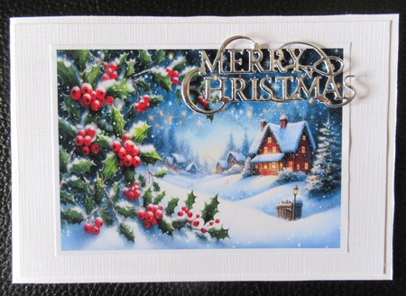 Winter scene 7 by Davina Rundle