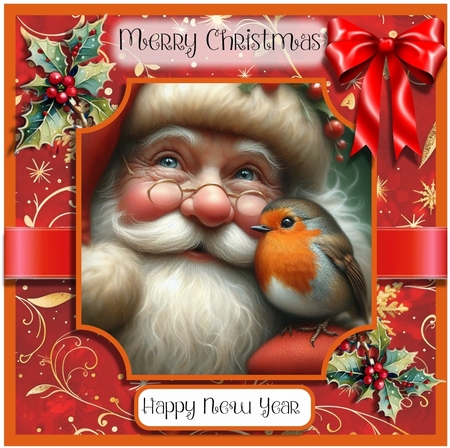 Santa and the Robin by Davina Rundle