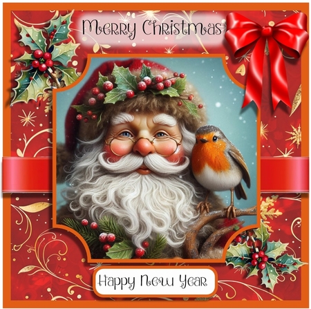 Santa and the Robin by Davina Rundle