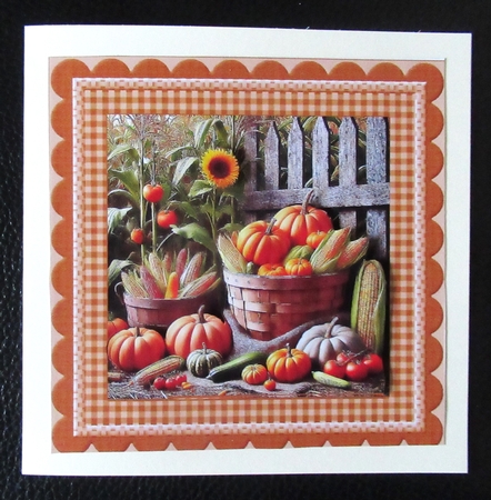 Happy Harvest by Davina Rundle