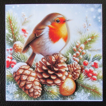 Pine Robins by Davina Rundle