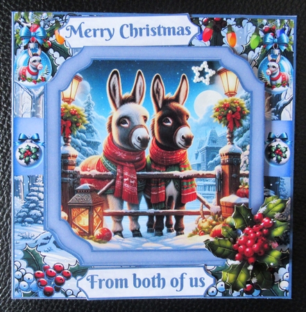 Festive Donkeys by Davina Rundle