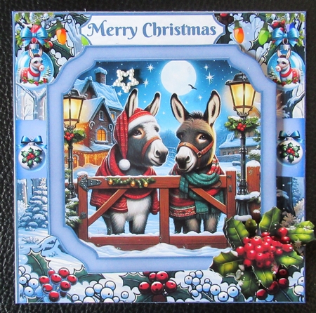 Festive Donkeys by Davina Rundle