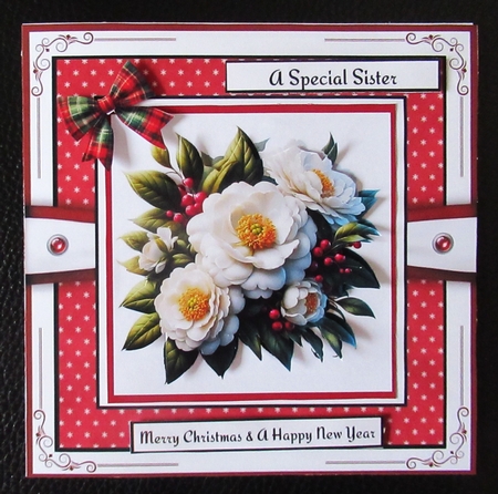 Christmas Flowers by Davina Rundle