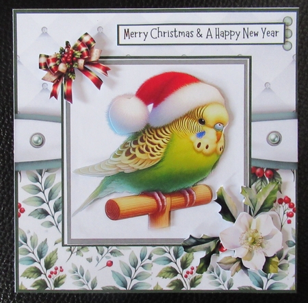 A Chirpy Christmas by Davina Rundle