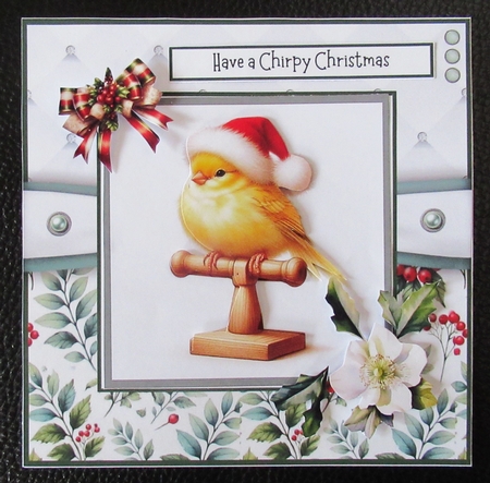 A Chirpy Christmas by Davina Rundle