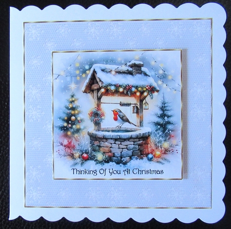 Christmas Wishing Well Robin by Davina Rundle