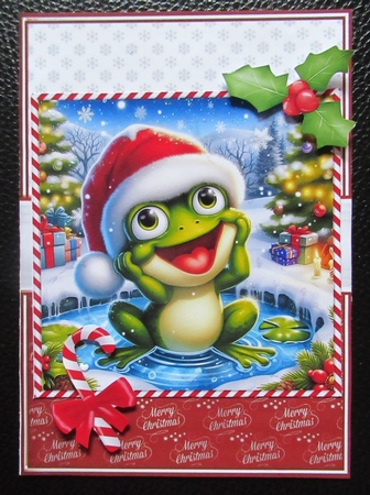 CHRISTMAS FROG by Davina Rundle