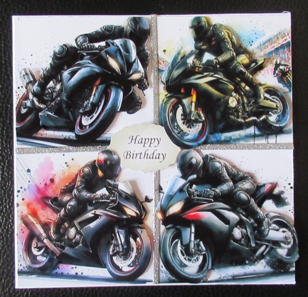 Motorbike Rider by Davina Rundle