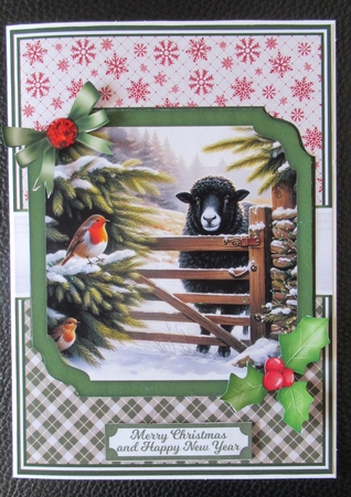 WINTER SHEEP by Davina Rundle