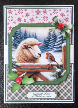 WINTER SHEEP by Davina Rundle