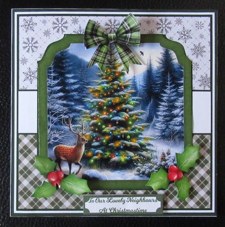 WILD CHRISTMAS by Davina Rundle