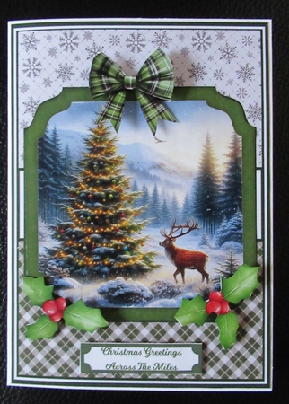 WILD CHRISTMAS by Davina Rundle
