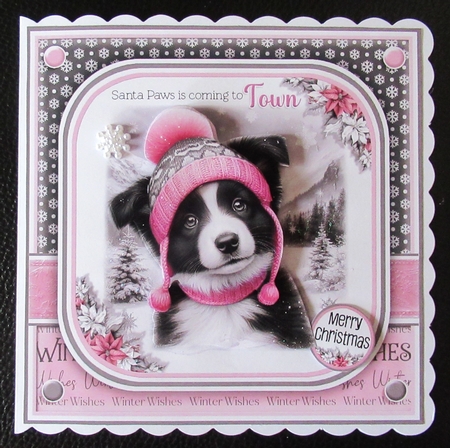 Santa Paws Is Coming To Town (Border Collie Female) by Davina Rundle